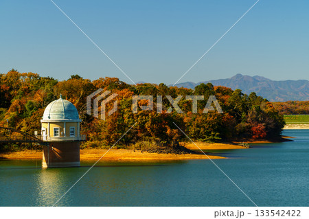 多摩湖の取水塔と紅葉 多摩湖の取水塔と紅葉 133542422