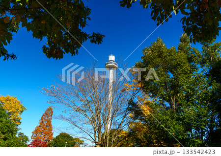 西武ゆうえんち、富士見展望塔 133542423