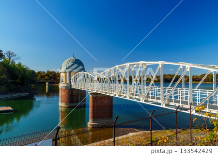 紅葉の多摩湖の取水塔 133542429