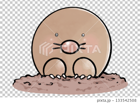 かわいい動物シリーズ　もぐら 133542508