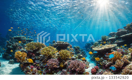 光芒が差し込む透明な海に広がるカラフルなサンゴ礁と魚の群れ 光芒が差し込む透明な海に広がるカラフルなサンゴ礁と魚の群れ 133542920