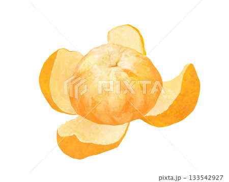 皮をむいたみかん 皮をむいたみかん 133542927