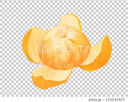皮をむいたみかん 皮をむいたみかん 133542927