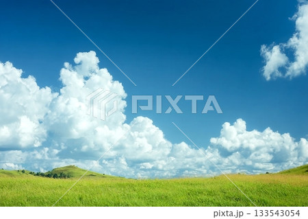 Green grass field on small hills and blue sky with clouds. 133543054