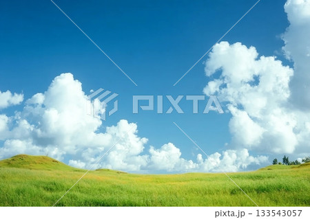 Green grass field on small hills and blue sky with clouds. Green grass field on small hills and blue sky with clouds. 133543057