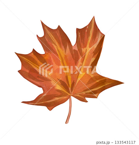 Orange colored maple leaf hand-painted with watercolor. Watercolor illustration of autumn leaf is perfect for printing on fabric, paper, decor and design. 133543117