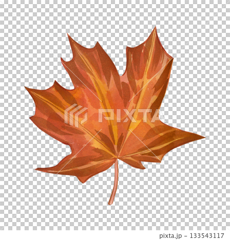 Orange colored maple leaf hand-painted with watercolor. Watercolor illustration of autumn leaf is perfect for printing on fabric, paper, decor and design. 133543117