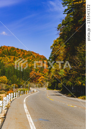 木崎湖北端からは木場方面の紅葉風景 133543172