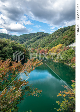 長瀞町の荒川、エメラルドグリーンの水面と紅葉の山々 133543267
