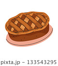 Vector apple pie icon. American baked fruit dessert. Autumn thanksgiving pastry or traditional family oven sweets. Homemade holiday cake for holiday or festive celebration. Vegetarian nutrition recipe 133543295