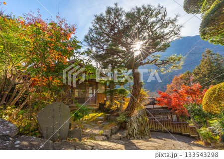 赤沢宿　紅葉　山梨県　早川町 133543298