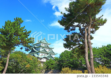 愛知県名古屋市、名古屋城の風景 愛知県名古屋市、名古屋城の風景 133543348