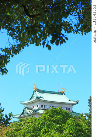 愛知県名古屋市、名古屋城の風景 133543353