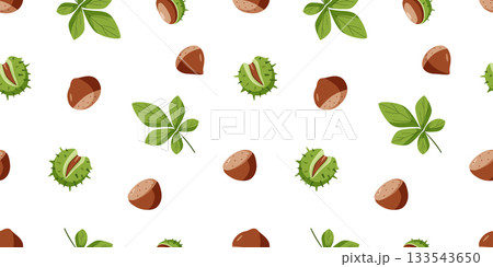 Background Chestnut set vector illustration. Seamless pattern Cartoon drawing of chestnut nuts in a shell and leaves. Background Chestnut set vector illustration. Seamless pattern Cartoon drawing of chestnut nuts in a shell and leaves. 133543650