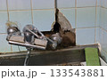 穴の空いた壁と壊れた蛇口 133543881