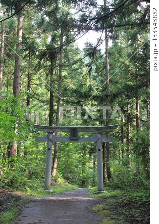 森の中にある神社 森の中にある神社 133543882