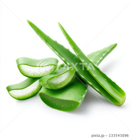 Aloe vera is essential plant known for its natural healing properties and is often used in aromatherapy. Its oil is popular for skincare and wellness 133543896