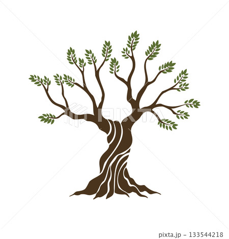 Olive trees with branches and leaves for design of packaging, label, logotype or banner. Natural organic stylized olive icon, premium quality sign. Vector illustration Olive trees with branches and leaves for design of packaging, label, logotype or banner. Natural organic stylized olive icon, premium quality sign. Vector illustration 133544218