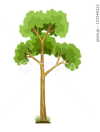 Stage of tree growth. Large tree growth with green leaf and branches. Illustration of business cycle development 133544222