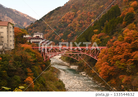 色づく山に囲まれた鉄橋を行くトロッコ電車 133544632