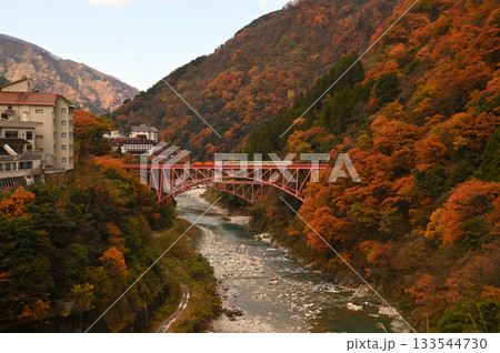 色づく山に囲まれた鉄橋を行くトロッコ電車 133544730