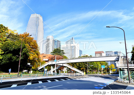港区芝公園、御成門駅周辺(東京都港区)【2025.11】 133545064