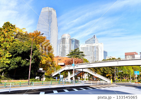 港区芝公園、御成門駅周辺(東京都港区)【2025.11】 港区芝公園、御成門駅周辺(東京都港区)【2025.11】 133545065