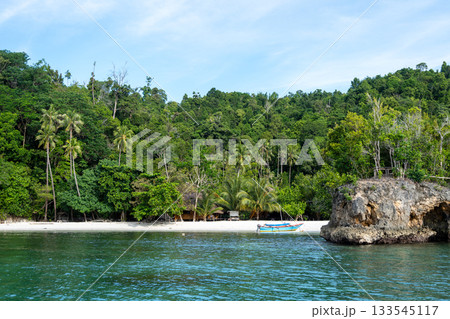 Pirogue on Lia beach, Waleakodi Island, Togian archipelago, Sulawesi, Indonesia Pirogue on Lia beach, Waleakodi Island, Togian archipelago, Sulawesi, Indonesia 133545117