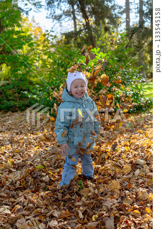 Autumn Joy. 133545158