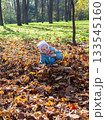 Joyful child in golden autumn leaves. 133545160