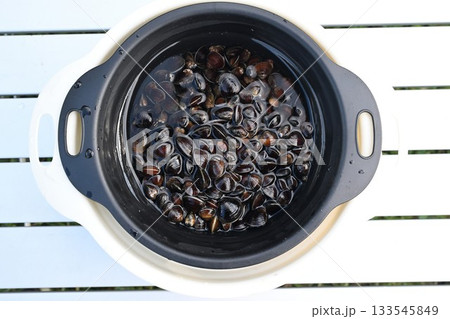 水に浸された新鮮な十三湖のシジミ（青森県） 133545849