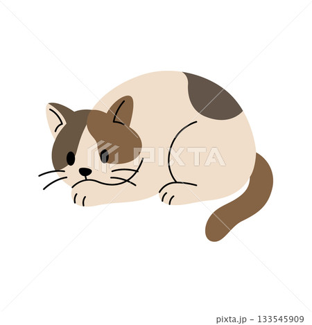 Cute cartoon cat lying down. Flat vector kitten illustration for children projects, pet themes and creative animal artworks 133545909