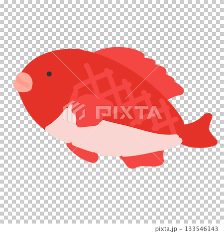 鯛魚的插圖 133546143