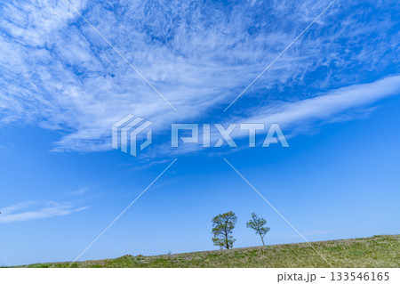 秋空と雲と草原 133546165