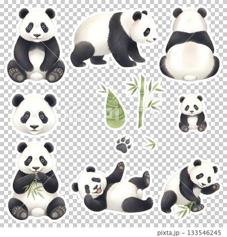 Set of panda characters. Watercolor illustration design. 133546245