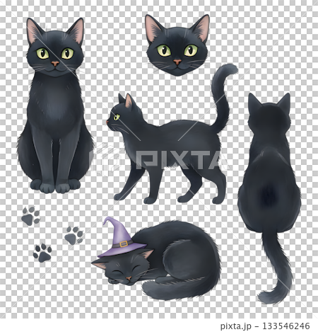 Set of black cat characters. Watercolour illustration design. Set of black cat characters. Watercolour illustration design. 133546246