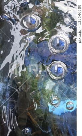 Underwater bubbles reflecting blue light and textured surface with subtle plant shapes, tranquil abstract composition Underwater bubbles reflecting blue light and textured surface with subtle plant shapes, tranquil abstract composition 133546509