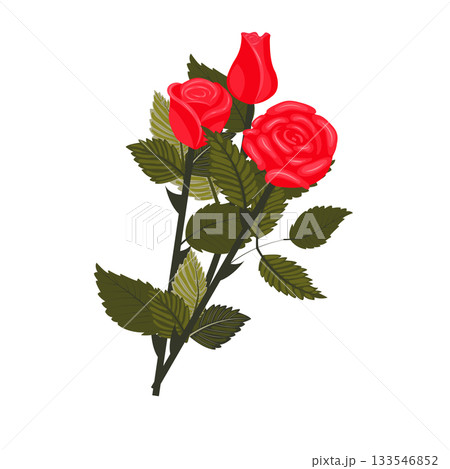 A bouquet of bright red roses. 133546852