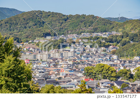 豊川市の街並み(愛知県) 133547177