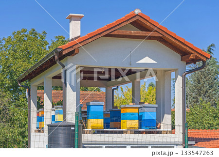 Beehives in House 133547263