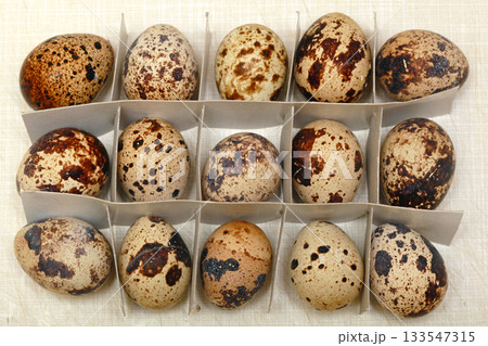 Japanese Quail Eggs Japanese Quail Eggs 133547315