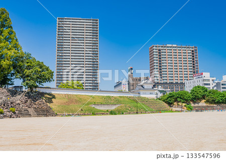 岡崎市の岡崎城公園と街並み(愛知県) 133547596