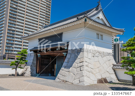 岡崎市の岡崎城公園の風景(愛知県) 133547667