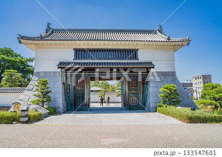 岡崎市の岡崎城公園の風景(愛知県) 133547681