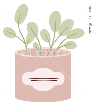 A small pink pot with green leaves sits on a white background 133548066