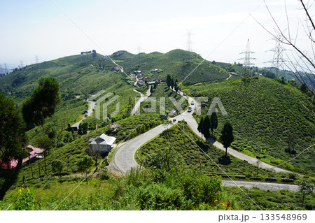 Winding Himalayan Road Through Lush Green Tea Plantations and Rolling Hills Winding Himalayan Road Through Lush Green Tea Plantations and Rolling Hills 133548969