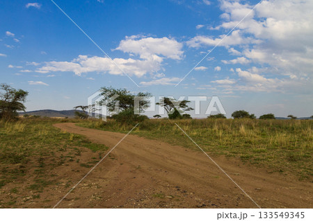 Dirt road in savannah at Serengeti national park, Tanzania 133549345