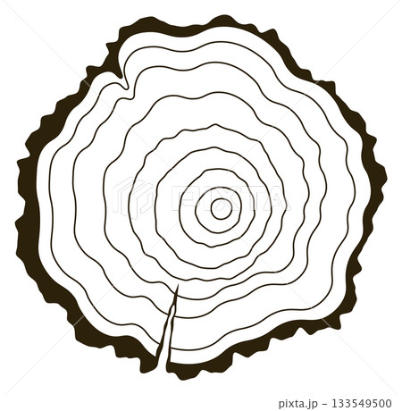 A tree stump with a large circle in the middle A tree stump with a large circle in the middle 133549500