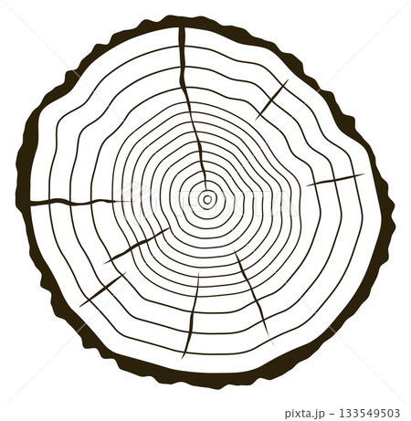 A large log with a hole in the middle A large log with a hole in the middle 133549503