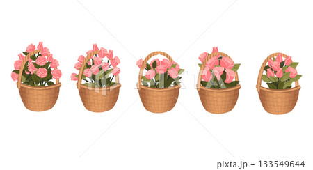 A set of baskets with bouquets of elegant pink roses. Vector illustration isolated on a white background. 133549644